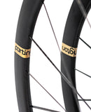 Partington 1160g 超輕碳纖碟煞輪組 39/44 金標