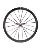 Partington 1160g 超輕碳纖碟煞輪組 39/44 金標