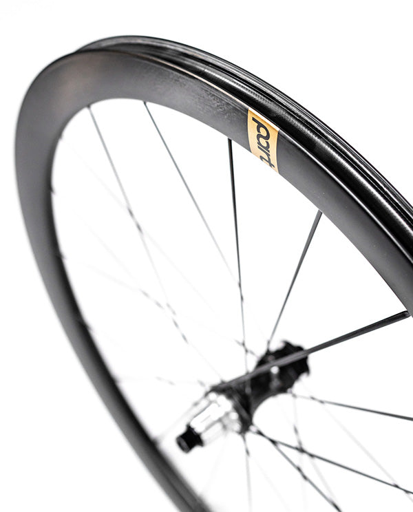 Partington 1160g 超輕碳纖碟煞輪組 39/44 金標