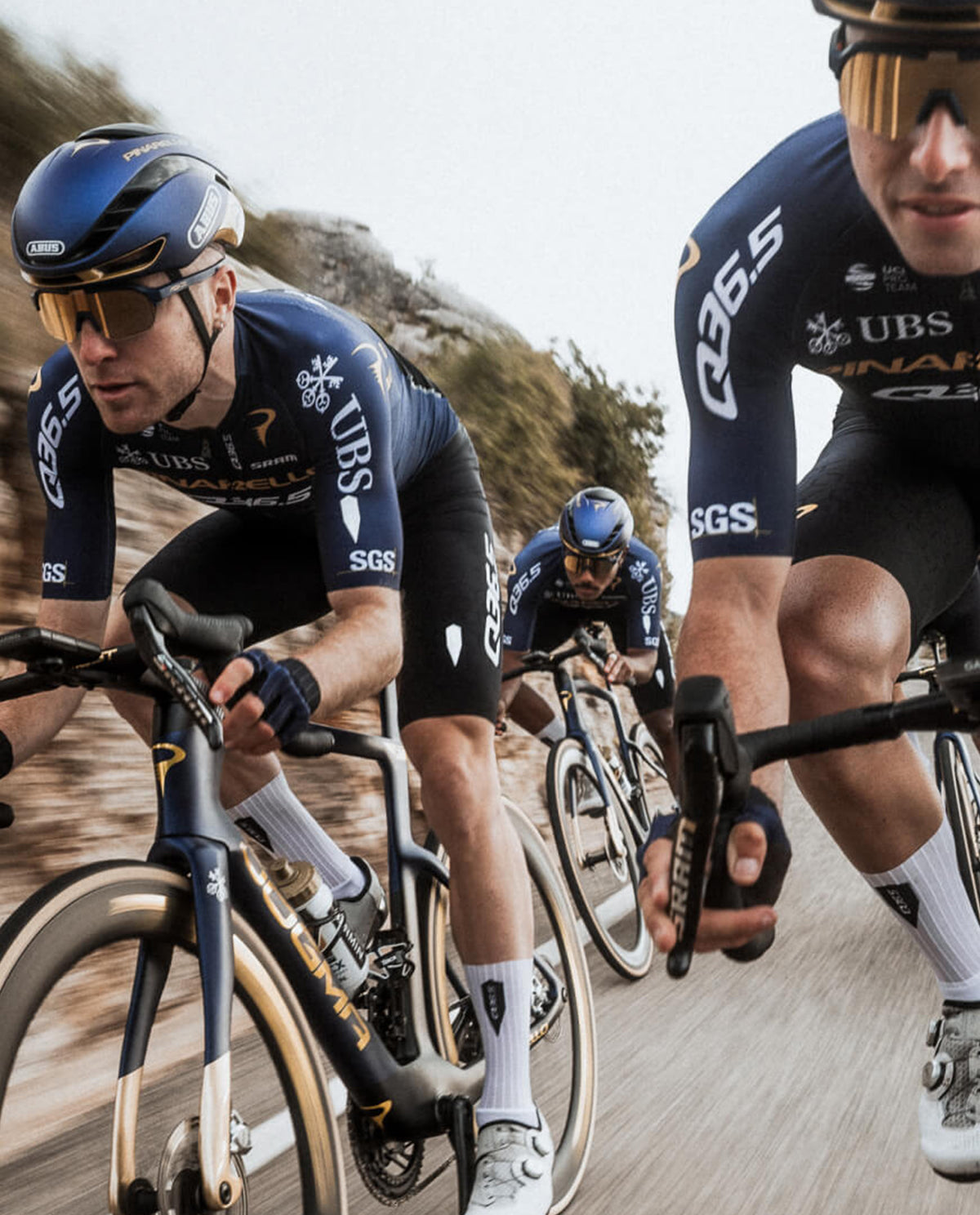 Q36.5 車衣Gregarius Q36.5 Pro Cycling Team Jersey 2026 男款 藍