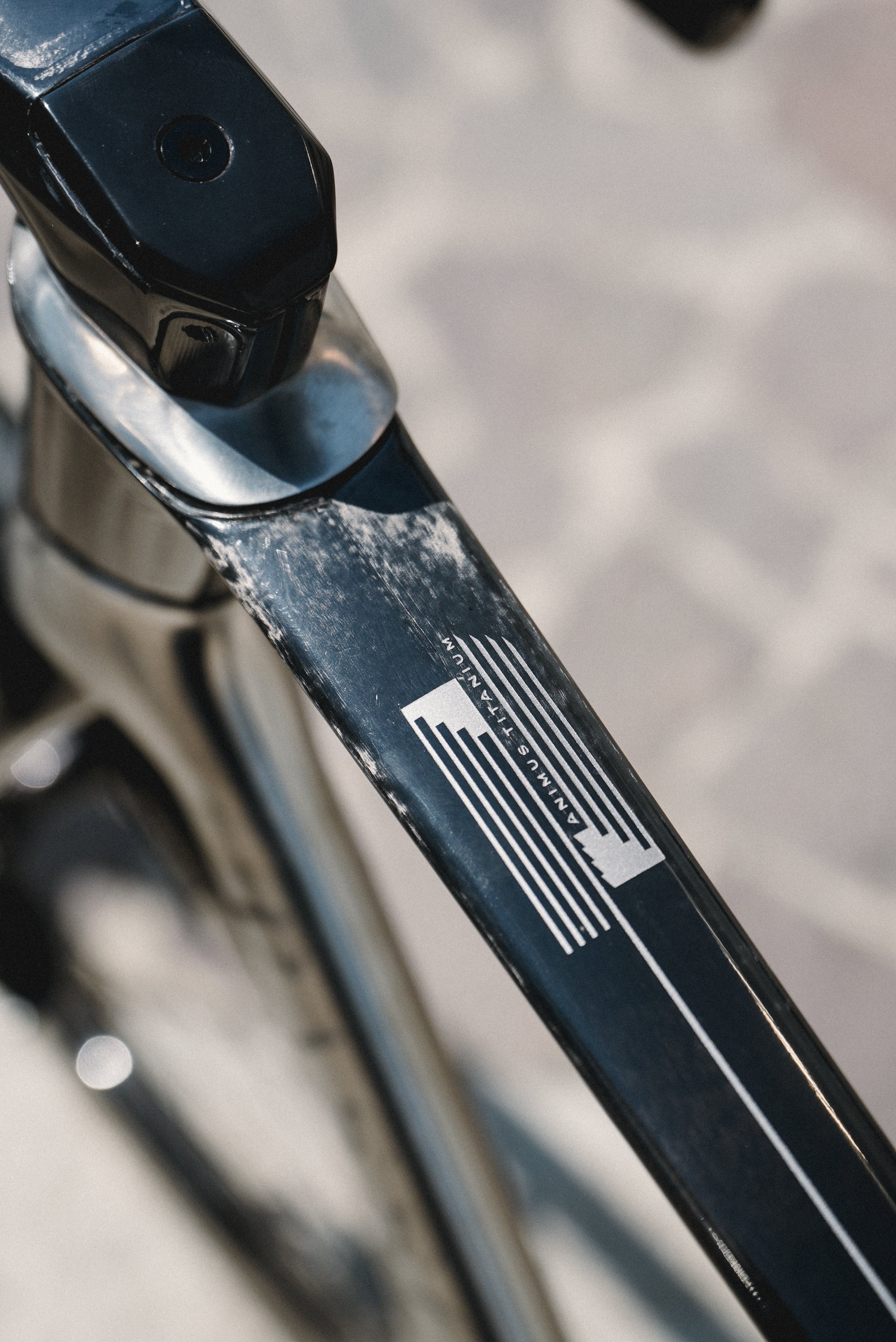 Lightroom-24.jpg