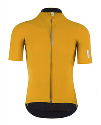 Q36.5 車衣Pinstripe PRO Jersey Curry 男款 黃